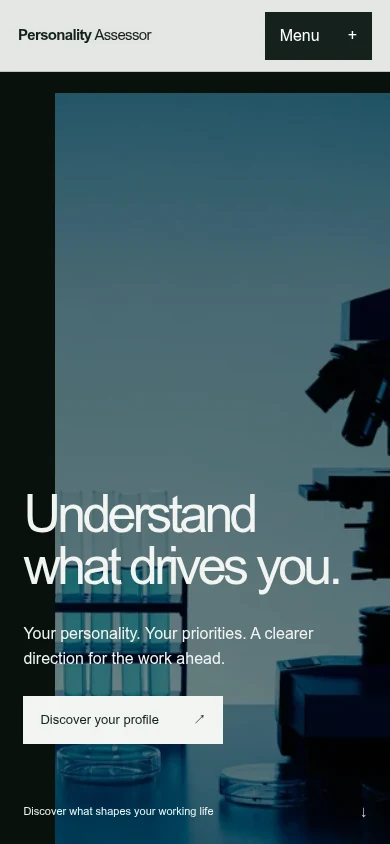 Personality Assessor actual mobile website